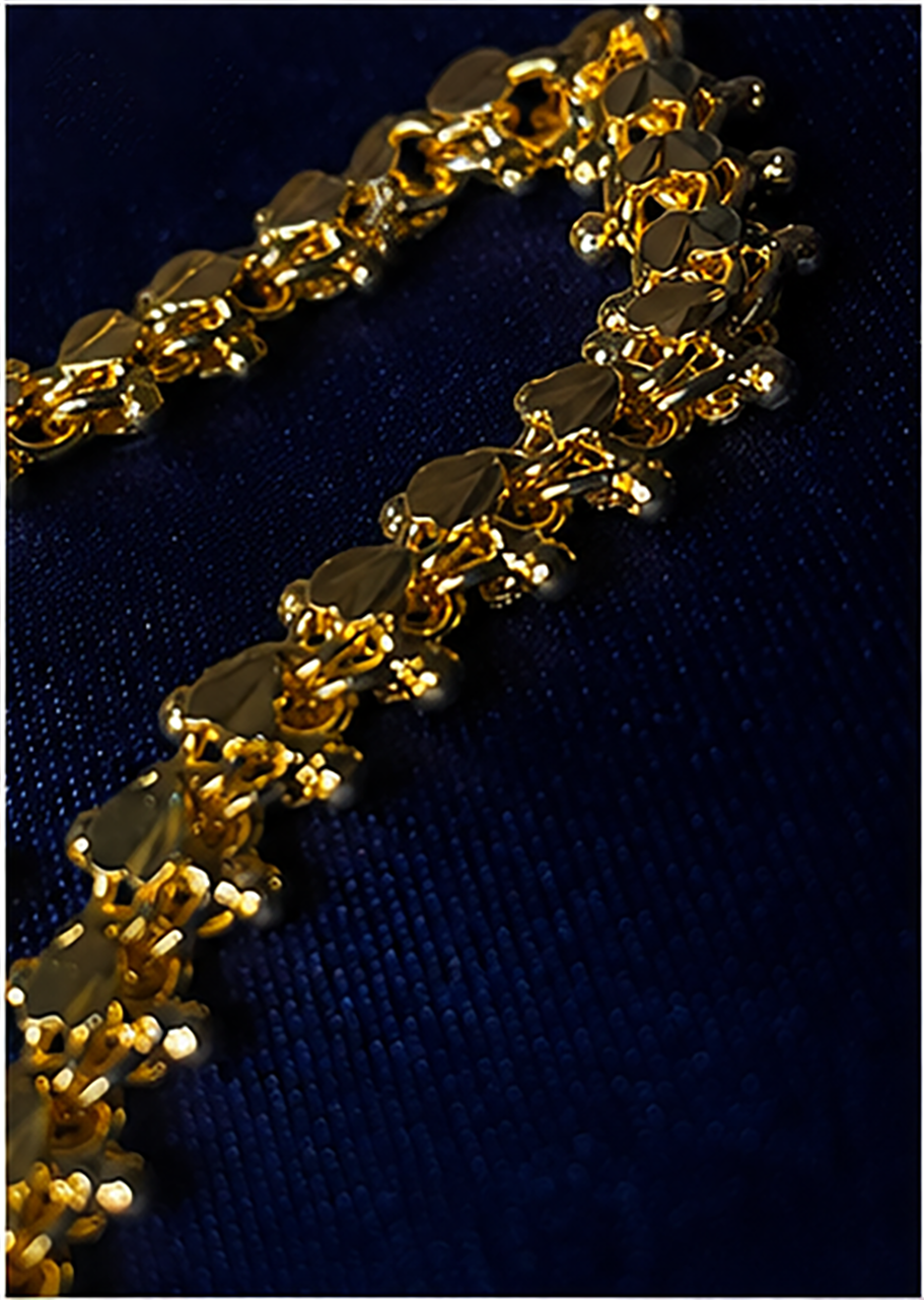 Golden Heritage Long Chain - Aurelia Jewels