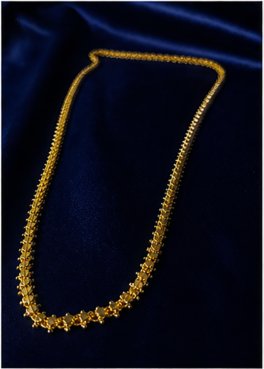 Golden Heritage Long Chain - Aurelia Jewels